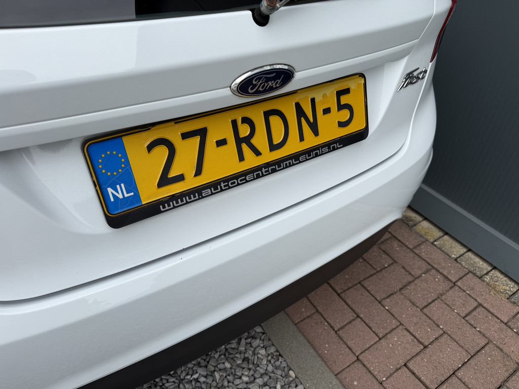 55594470-9.jpg