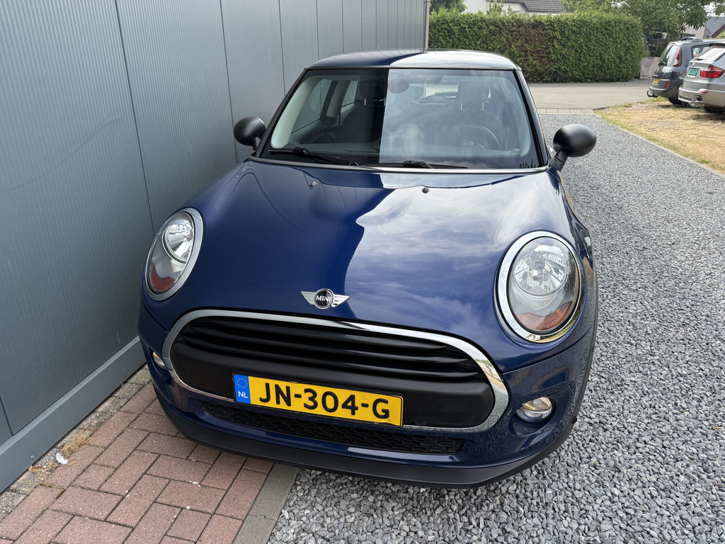 55594980-14.jpg