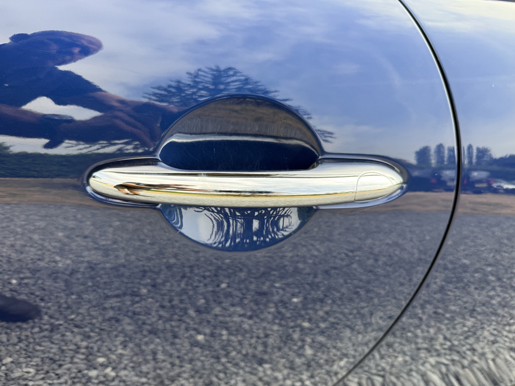 55594980-19.jpg