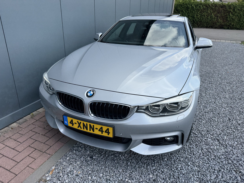 56228225-14.jpg