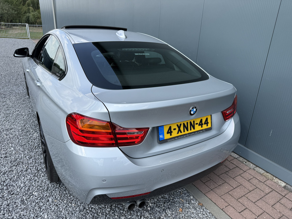 56228225-15.jpg
